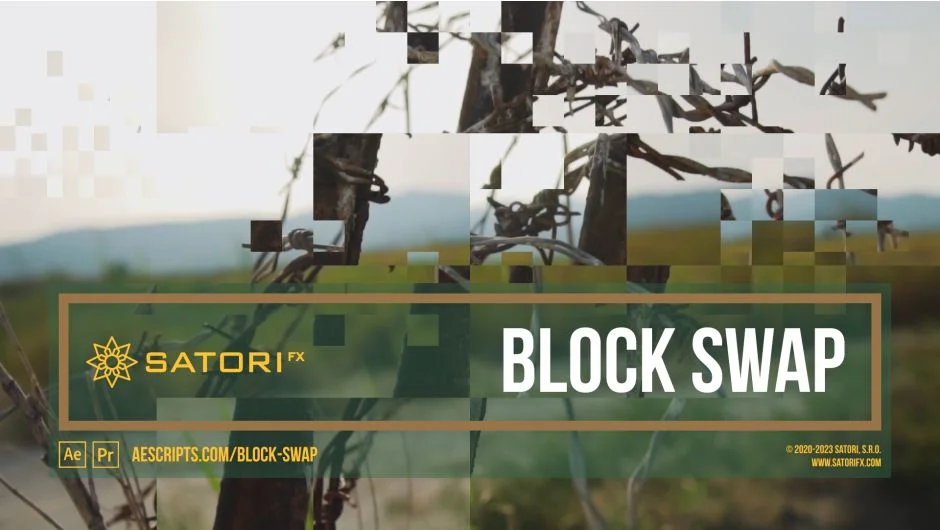 Block Swap screenshot