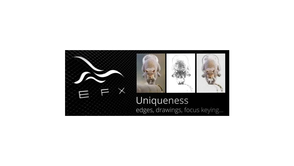 EFX Uniqueness screenshot