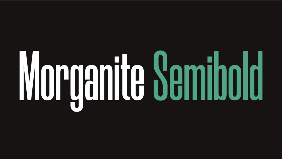 Morganite screenshot