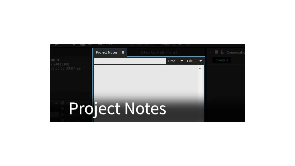 Project Notes screenshot