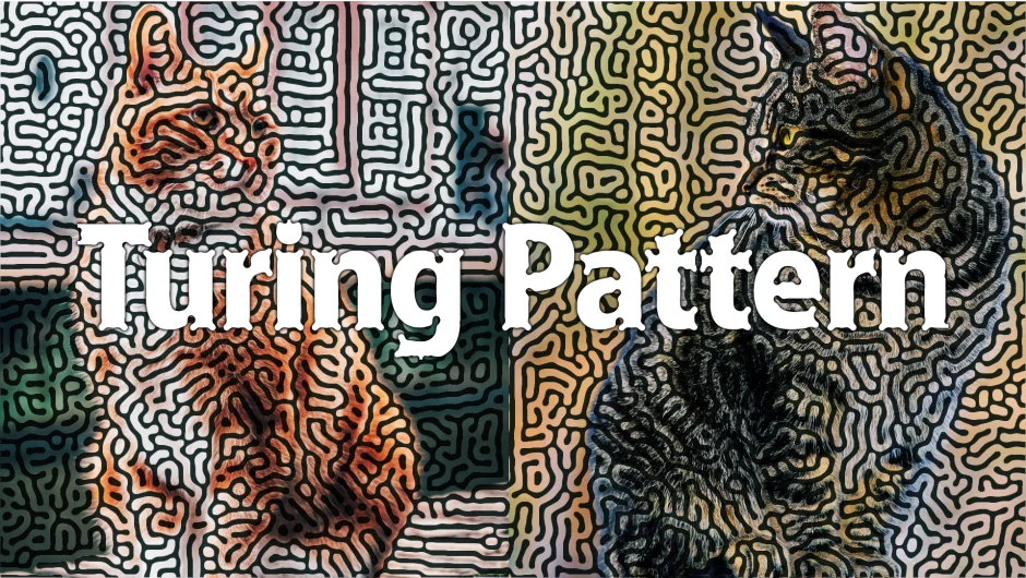 Turing Pattern screenshot